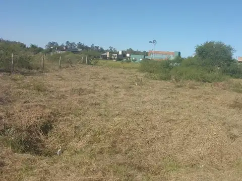 De las Palmeras S/N, a 150 m calle del Sol.