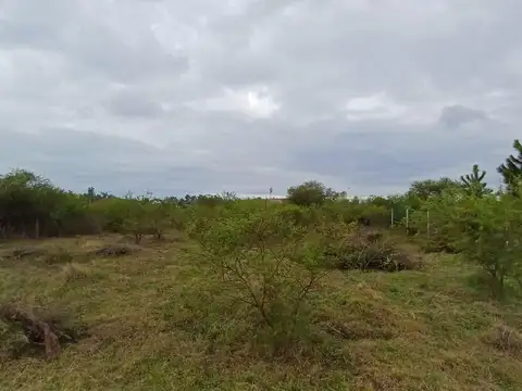 Terreno en Venta de 1077,0 m2