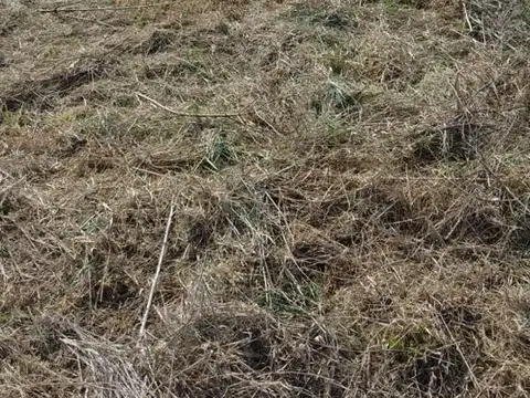 Terreno en Venta 25  mts Frente