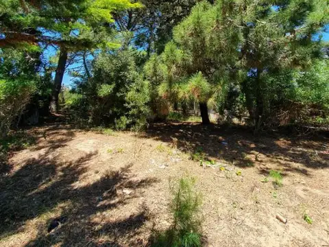 Terreno en Venta 13,34  mts Frente