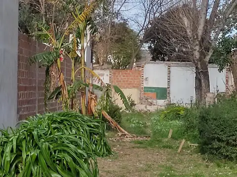 11 De Noviembre 1500