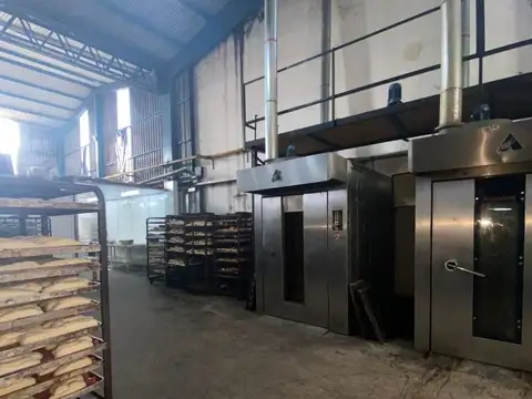 Galpon en Alquiler 31 años