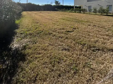 Barrio Araucarias 100