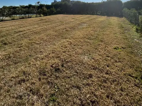 Barrio Araucarias 100