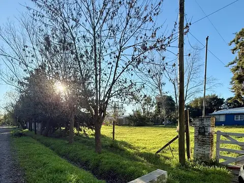 136 entre 11 y 15 ¡Tu próxima casa quinta te espera!