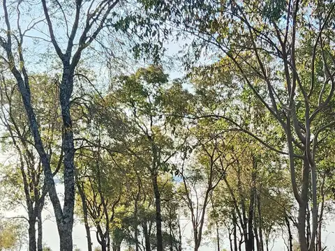 Terreno en Venta en Posadas, USD 45.000
