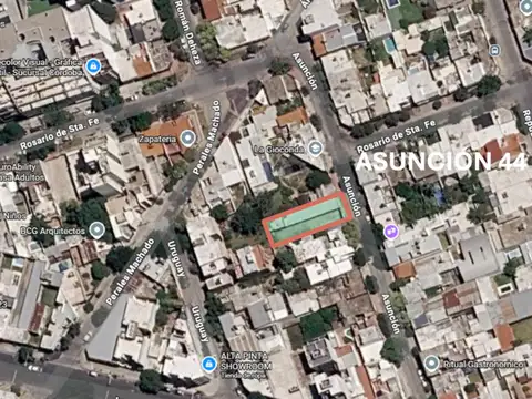 Asunción 100
