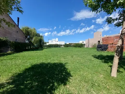 Rafaga 100