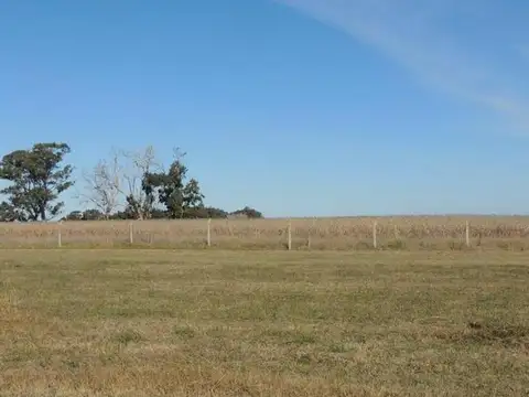 La Victoria Country Lote 156