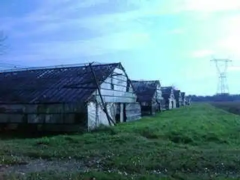 Colectora Norte