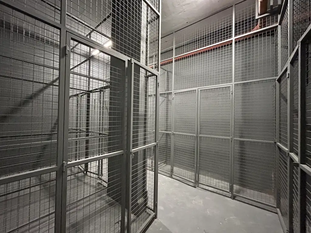 Premiere Julián Alvarez - Foto 13