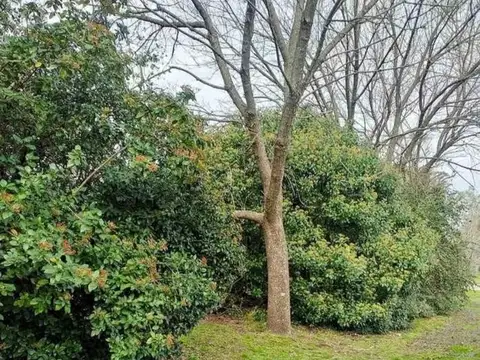 Terreno en Venta de 1100,0 m2