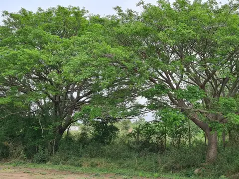 Terreno en Venta en San Nicolas De Los Arroyos, USD 105.000