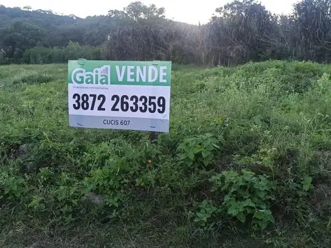 LOTEO SANTA CECILIA | VAQUEROS