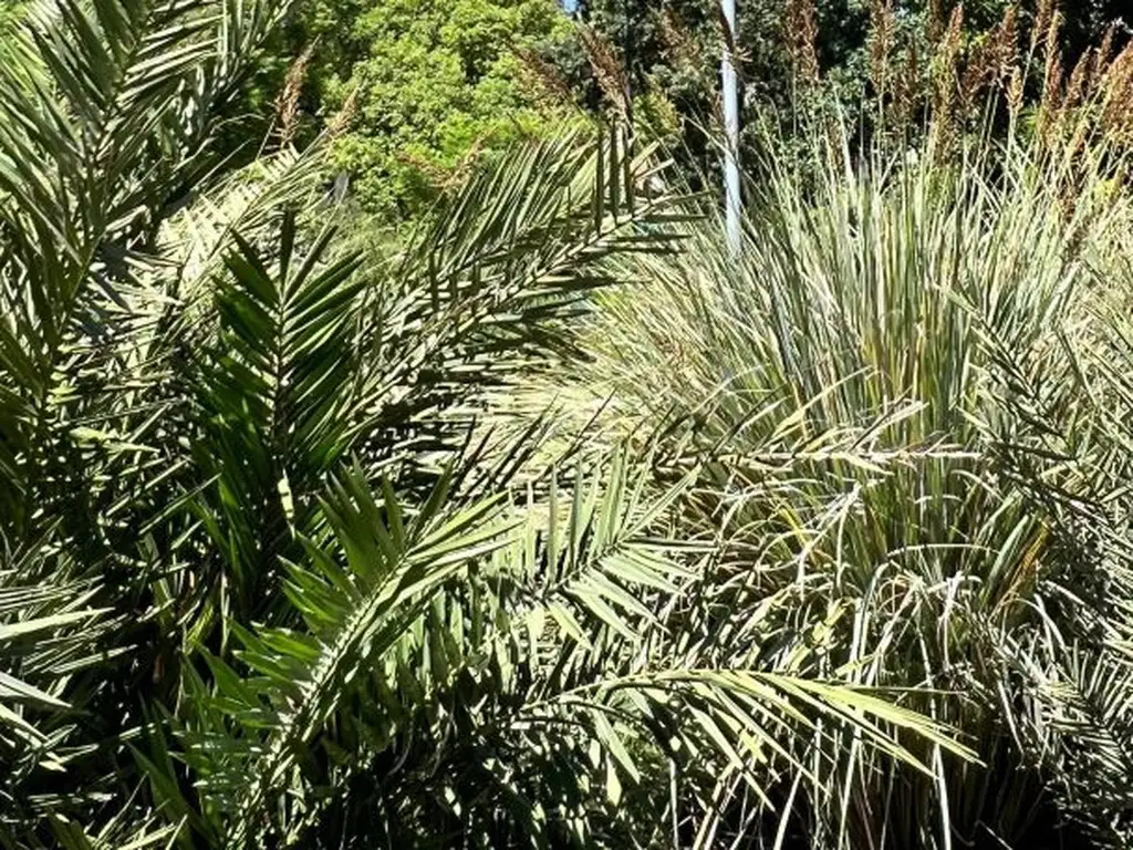 PLAZA IRLANDA | 1, 2, 3 y 4 amb. SUM. Piscina. Sol - Foto 22