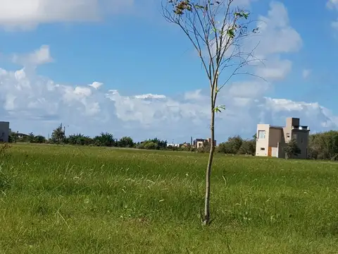 LOTES EN VENTA  EN KM 314