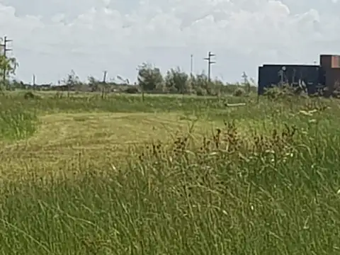 Km 314 UF G 05 Y E 100