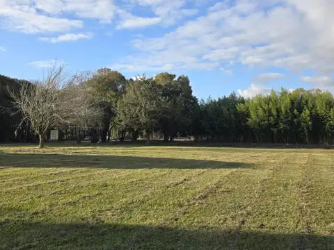 Terreno en Venta 12,80  mts Frente