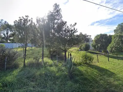 El Pejerrey e/ Hipocampo y Peumayen