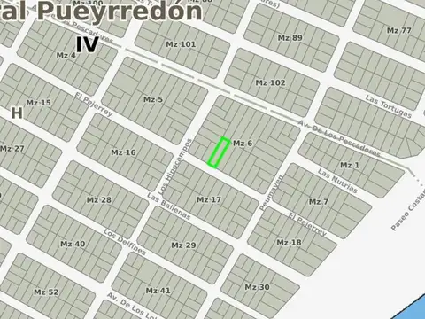 El Pejerrey e/ Hipocampo y Peumayen