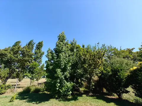 Hotel en Venta 30 años