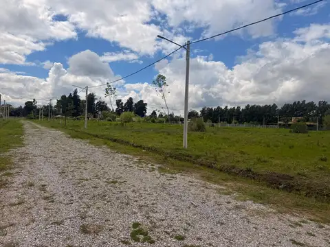 Terreno en Venta de 803,0 m2