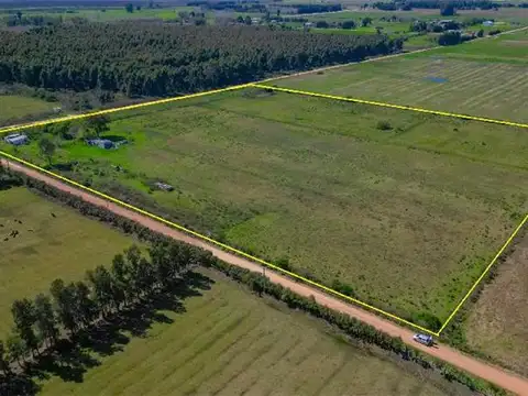 Esquina de 51.349 m². Colonia Wilson