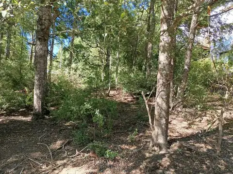 Terreno en Venta en San Martin de los Andes, USD 55.000