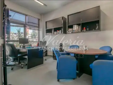 Olavarria 100