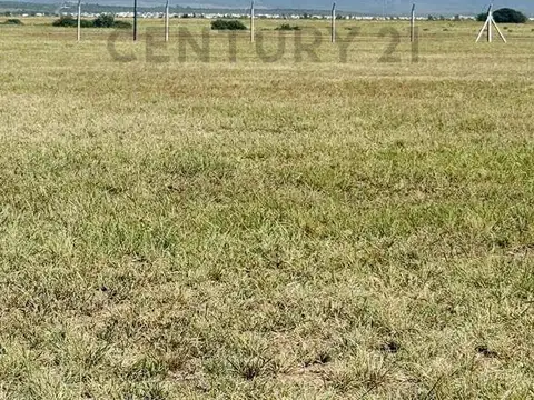 Terreno en Venta 14  mts Frente