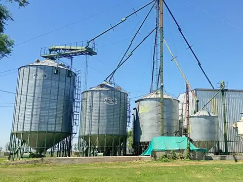En  venta planta de silos acopio y clasificacion