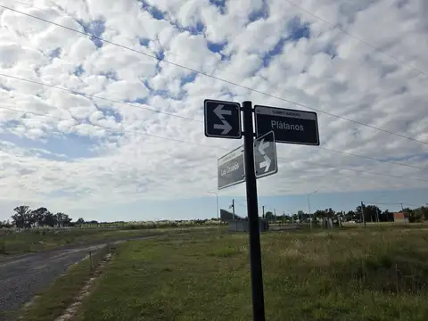 platanos s/n, campo madero, ibarlucea