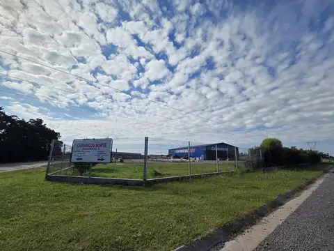 platanos s/n, campo madero, ibarlucea