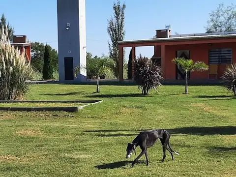 Quinta en Venta en Chascomus, USD 115.000