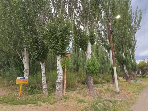 ruta 92 y calle  Pública 7