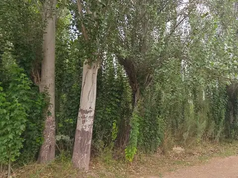 ruta 92 y calle  Pública 7