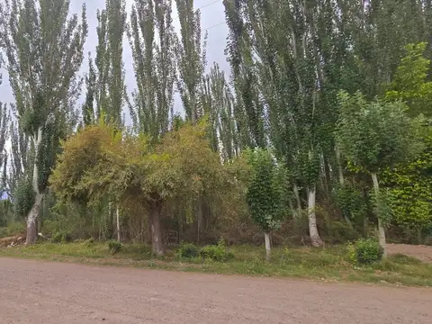 Venta Lote, esquina inmejorable, Colonia las Rosas