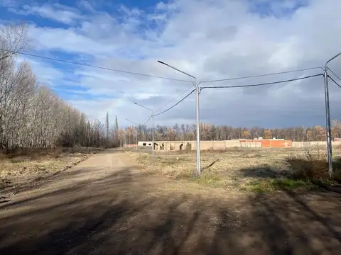 Terreno en Venta en Plottier, USD 30.000