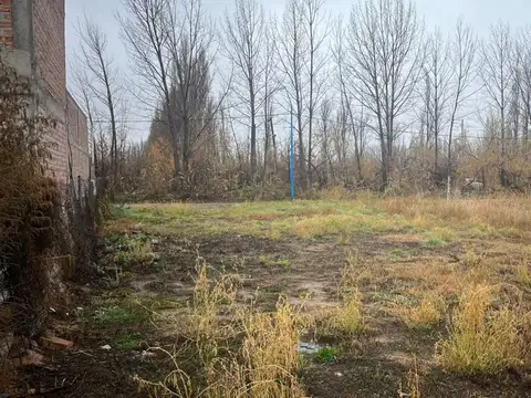 Terreno en Venta de 343,0 m2