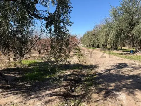 Galpon en Venta 406  mts Fondo