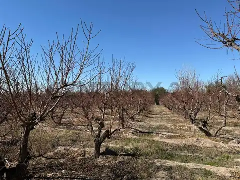 Galpon en Venta 2025 años