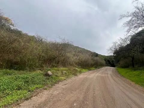 Terreno en Venta de 403,0 m2