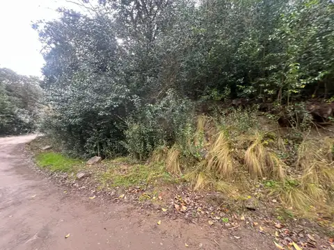 Terreno en Venta de 403,0 m2