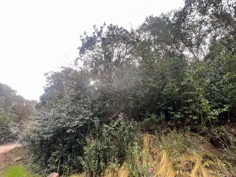 Terreno en Venta en Río Ceballos, USD 10.000