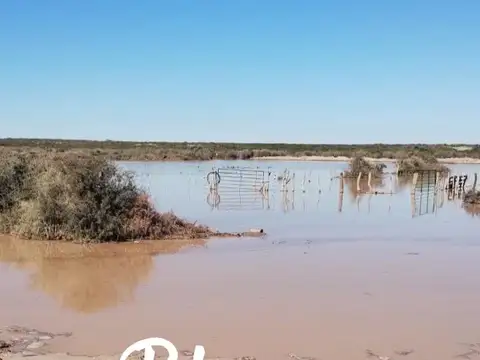 Terreno Campo  en Venta en 25 De Mayo, Puelen, La Pampa