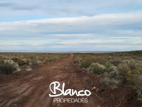 Terreno Campo  en Venta en 25 De Mayo, Puelen, La Pampa