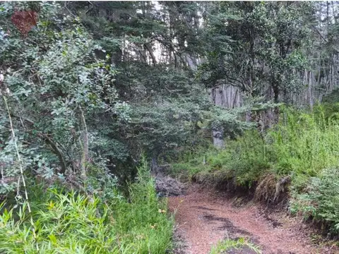 Terreno en Venta 35  mts Fondo