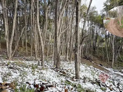 Terreno en Villa La Angostura
