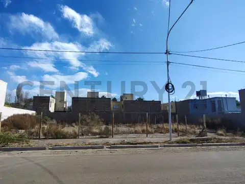 LAS MORERAS , Piso 0