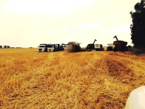 Campo en venta - 39.000.000Mts2 - Lobería